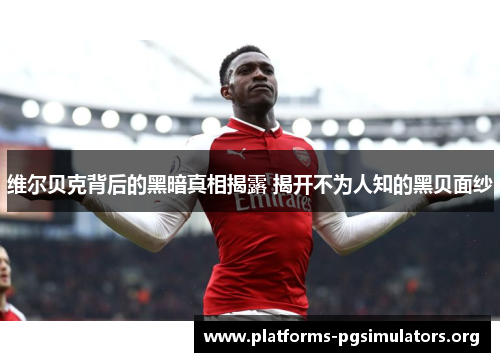 维尔贝克背后的黑暗真相揭露 揭开不为人知的黑贝面纱